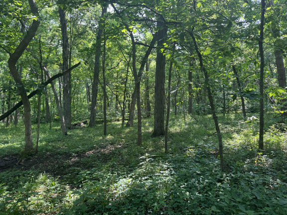 South Wea Creek Retreat