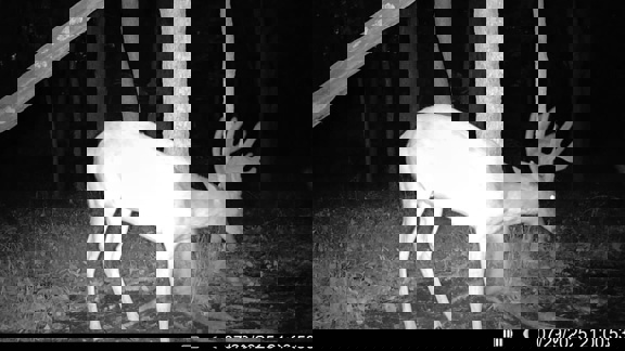 South Wea Creek Retreat