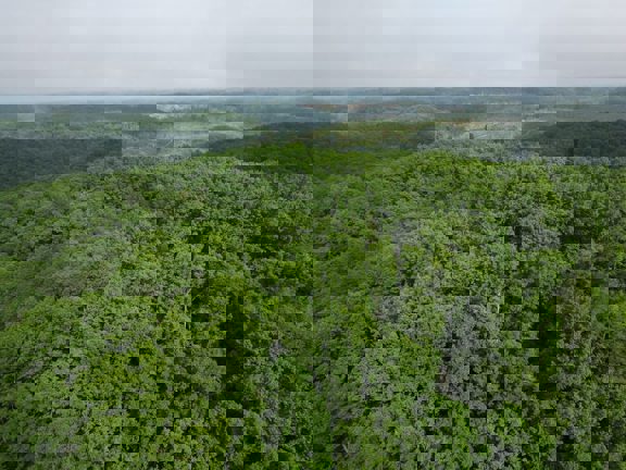 East Bernstadt Kentucky 370 +/-
