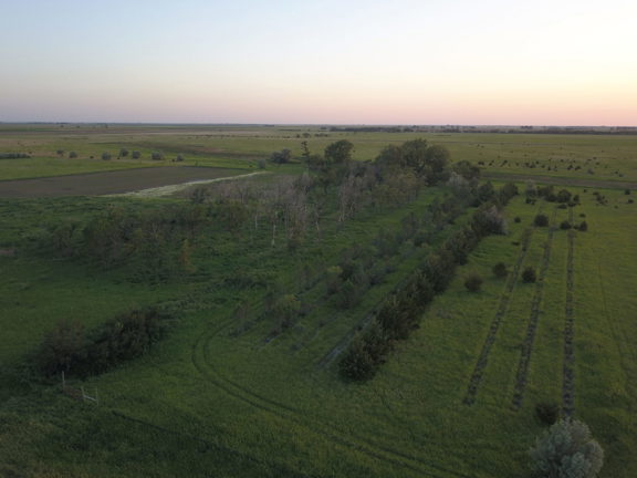 DPS Upland Reserve