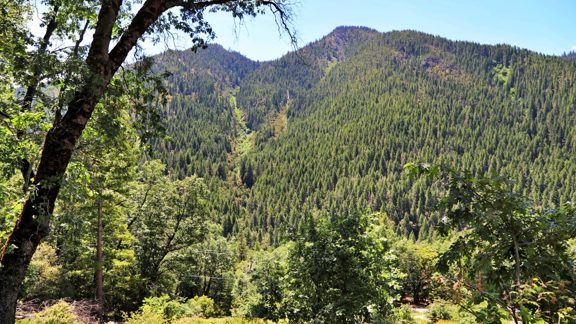 Sierra Buttes Vista