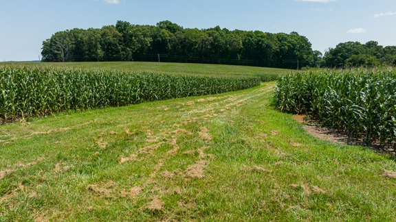 Moores Mill Road Farm