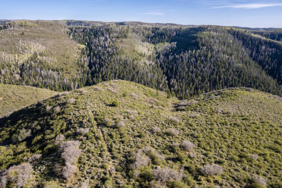 Cow Creek Ranch Tract #3