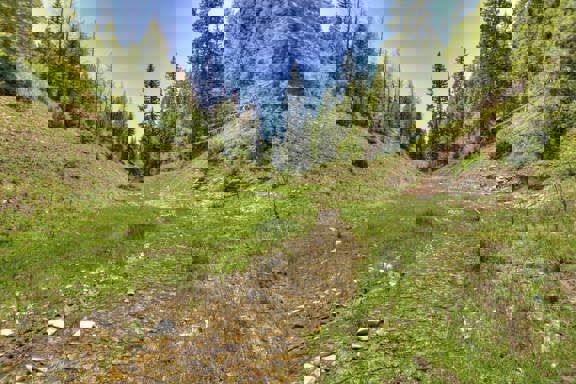 Timber Valley Ranch Tract #1