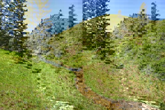 Timber Valley Ranch Tract #1