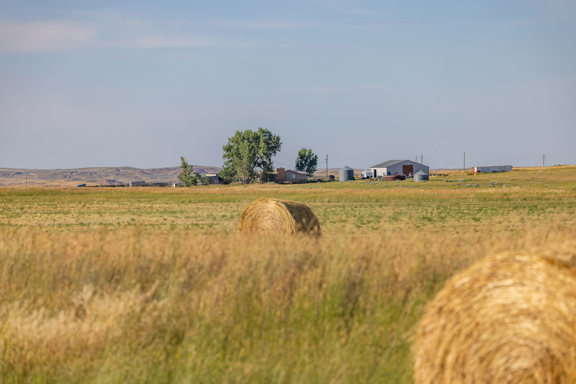 Wildcat Creek Hay and Hunt