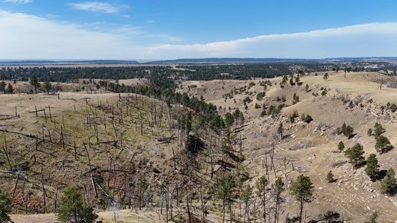 Tower Lookout Ranch
