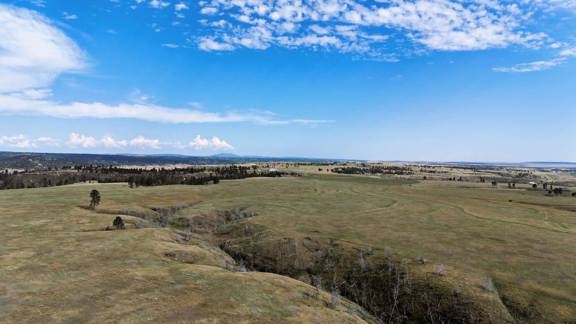 Tower Lookout Ranch
