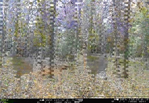 Krouse Brothers Ranch