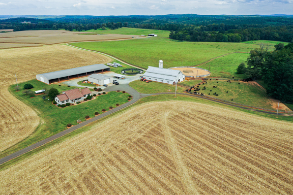 Durham County Horse and Cattle Farm
