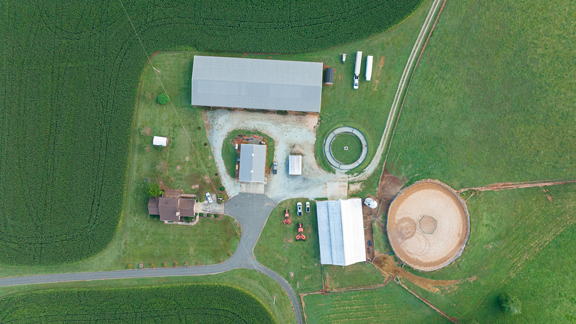 Durham County Horse and Cattle Farm