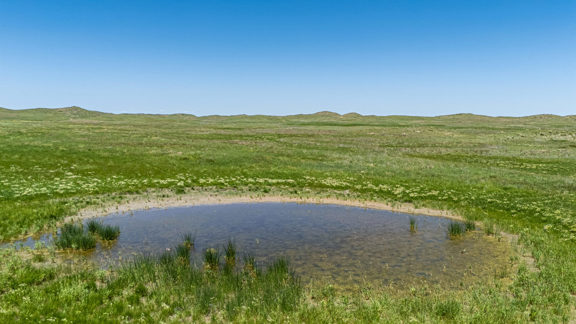 Wilson Ranch