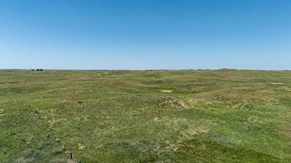 Wilson Ranch