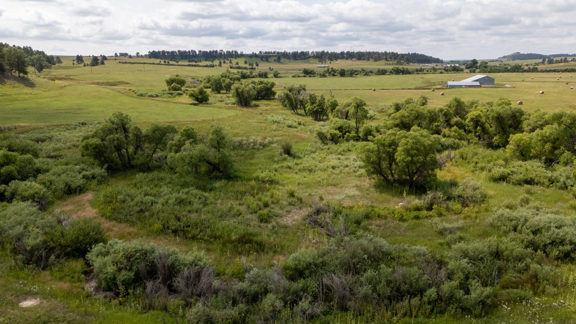 A Bar Ranch