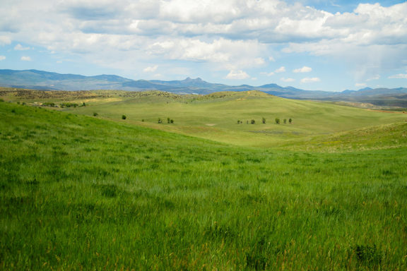 Lake Shadow Ranch