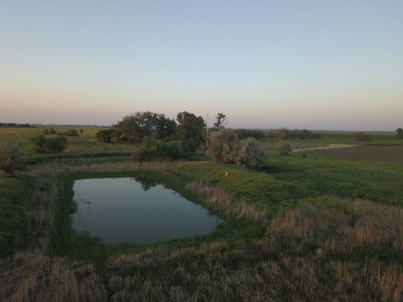 DPS Upland Reserve-320