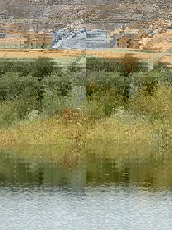 Steel Ranch