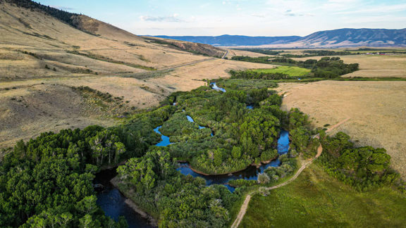Bow Fiddle Ranch