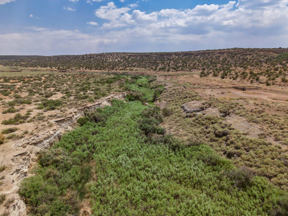 Cienega Amarilla Ranch