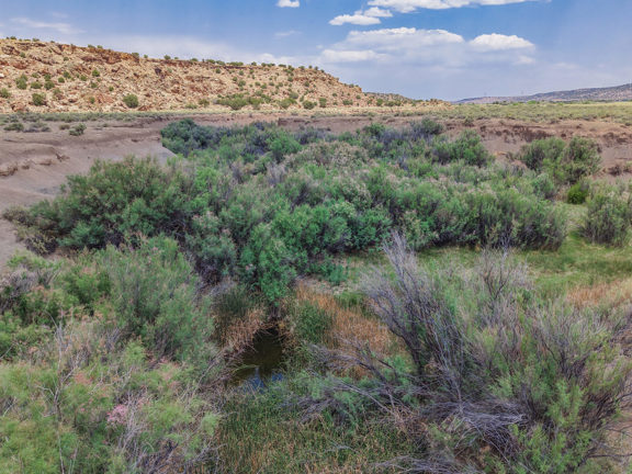 Cienega Amarilla Ranch