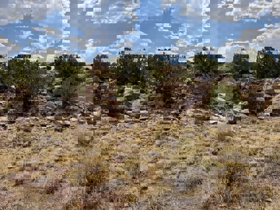 Cienega Amarilla Ranch