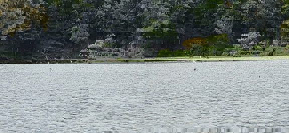 Egret Lake