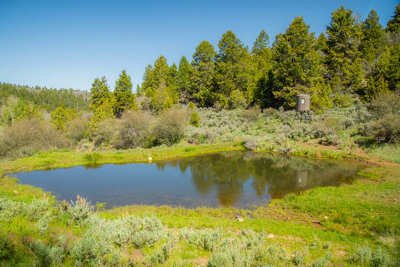 Tent Canyon Ranch