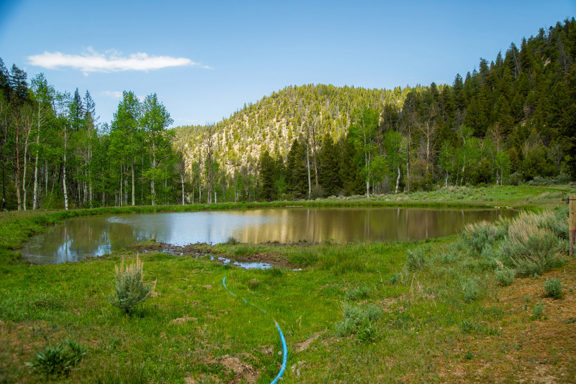 Tent Canyon Ranch