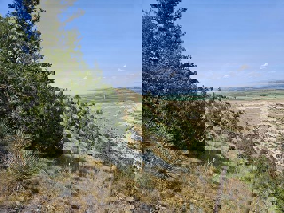 Tower Bluff Ranch