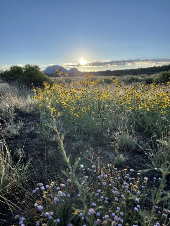 Sojourn Valley Ranch