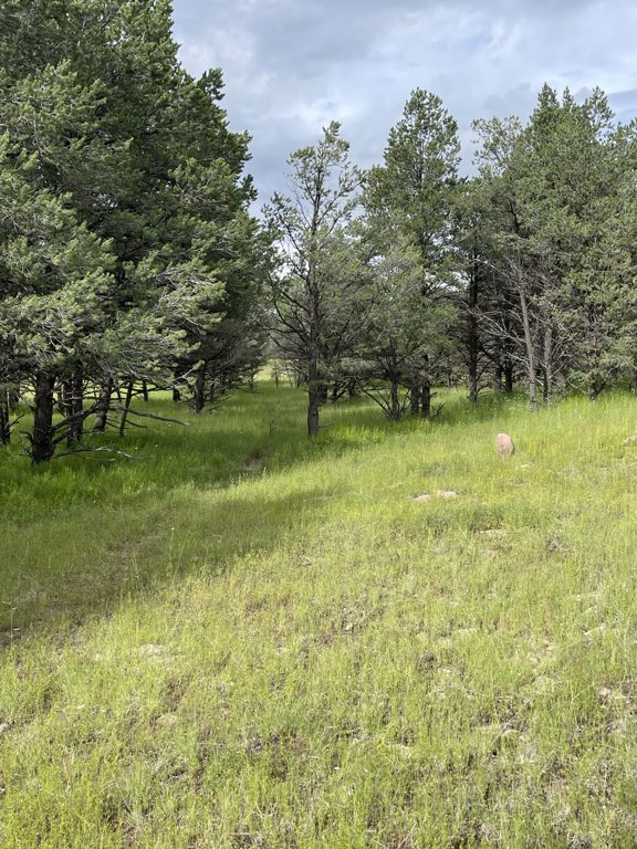 Sojourn Valley Ranch