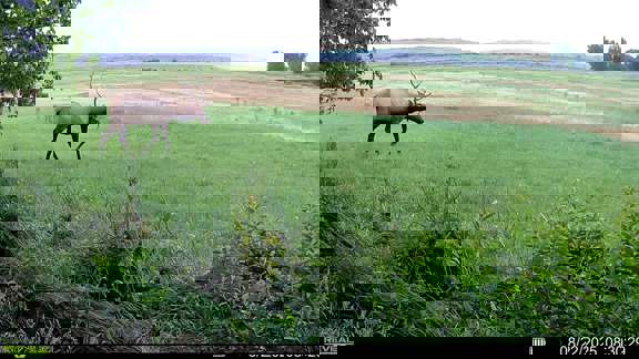 Thunder S Ranch
