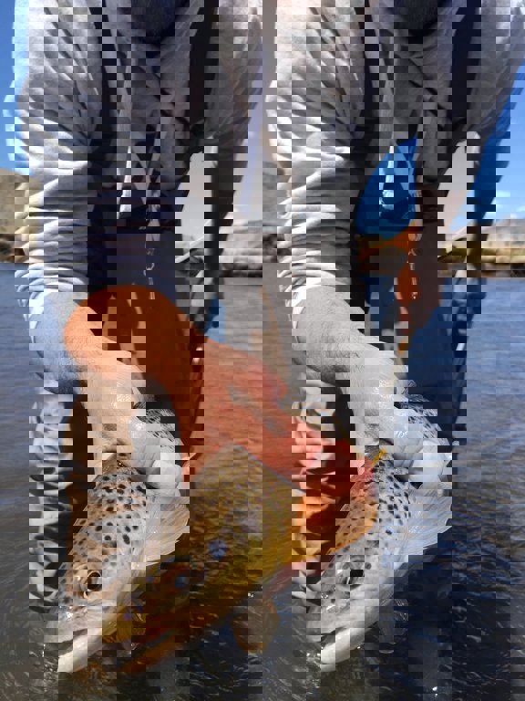 Laramie River Hideaway