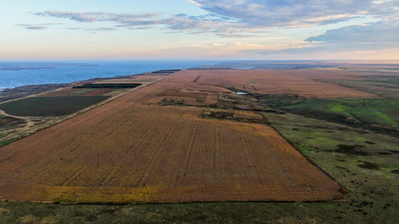 Lakeview Legacy Farms