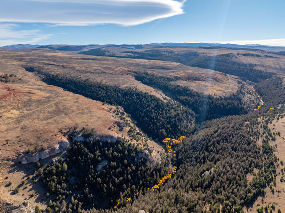 Bighorn Mountain Hideout