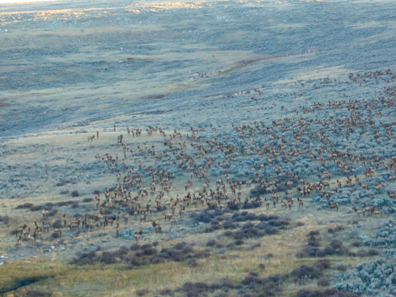 Bighorn Mountain Hideout