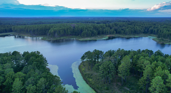 The Hudson Plantation