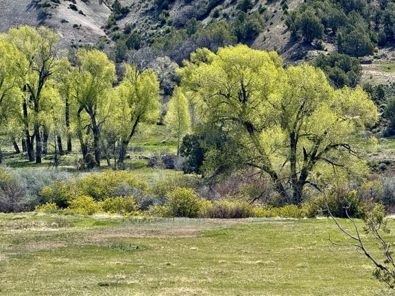 River Valley Estates Lots 29 & 30