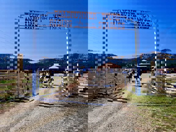 Roadrunner Tours, Ranch and Business