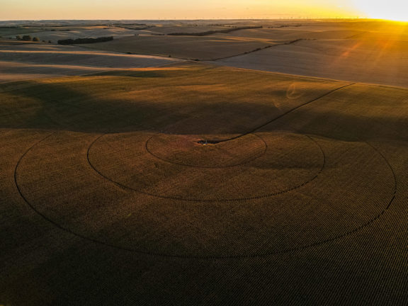 Antelope County Irrigated