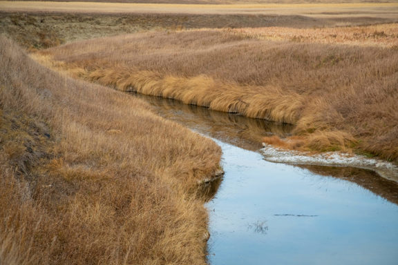 Cedar Creek Upland Reserve