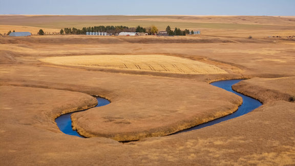 Cedar Creek Upland Reserve