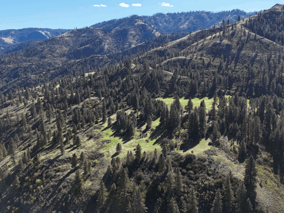 Horseshoe Bend Ranch – Cottonwood, ID