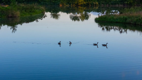 Platte River Frontage & Sandpit-Central City, NE –