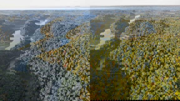 438 Acres on Center Hill Lake