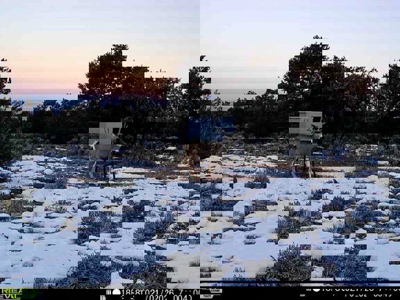 Latir Mountain Ranch