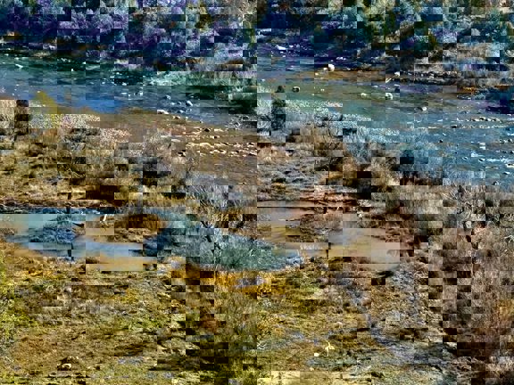 Rockin N River Ranch