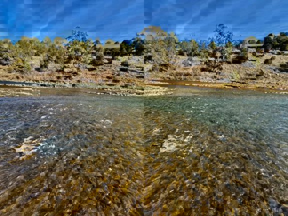 Rockin N River Ranch