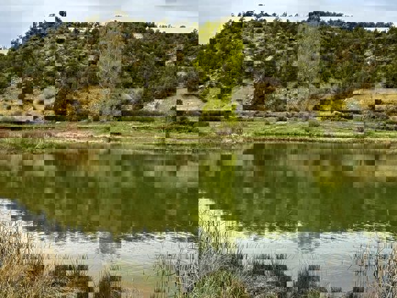 Rockin N River Ranch