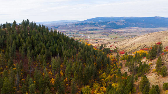 Council Mountain Ranch